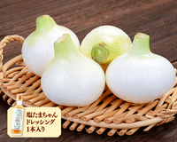 予約商品　塩たまねぎ（2.5kg）