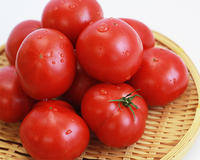 予約商品　規格外塩トマト