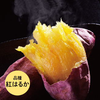 焼き芋　ごとあかり